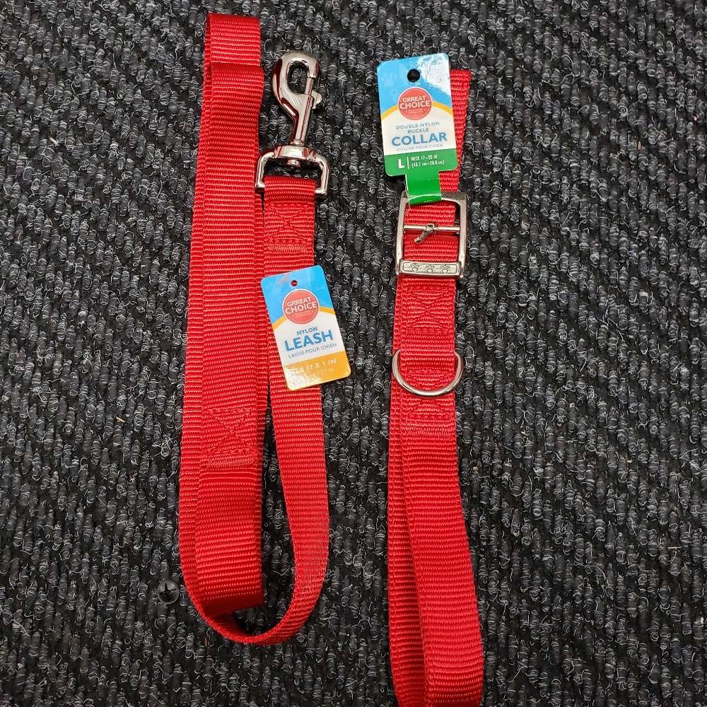 Great Choice Collar and Leash Set 🐕